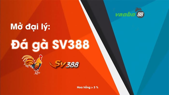 chính sách đại lý SV388