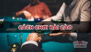 8 Cách chơi bài cào 3 lá luôn thắng 2023