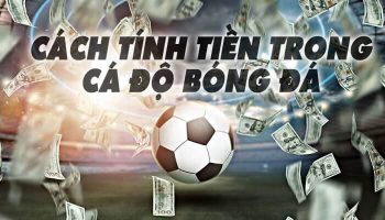 Hướng dẫn cách tính tiền trong cá độ bóng đá qua ví dụ cụ thể