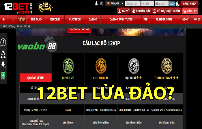 12bet lừa đảo