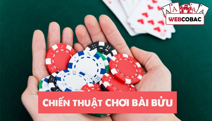 Mẹo chơi bài bửu dễ thắng