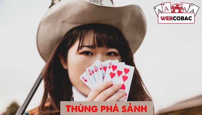 Thùng phá sảnh trong binh xập xám