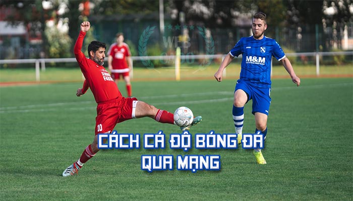 Cách cá độ bóng đá online