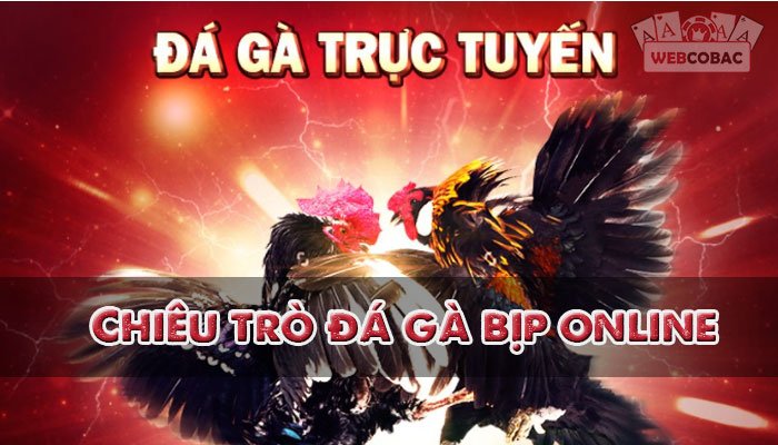 Chiêu trò đá gà bịp online của nhà cái 