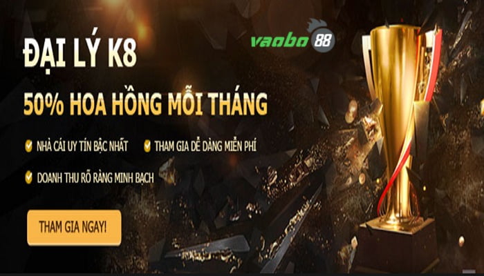 Đại lý K8