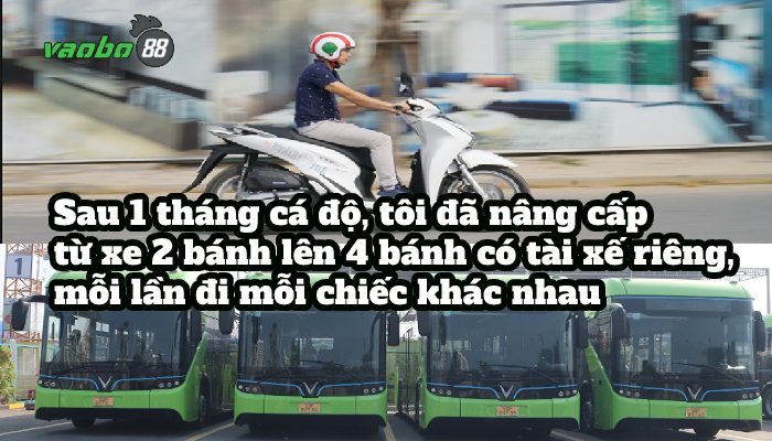 ảnh chế đành bài thua