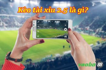 Tài xỉu 2.5 là gì? Giải thích kèo O/U 2.5 và cách đánh hiệu quả