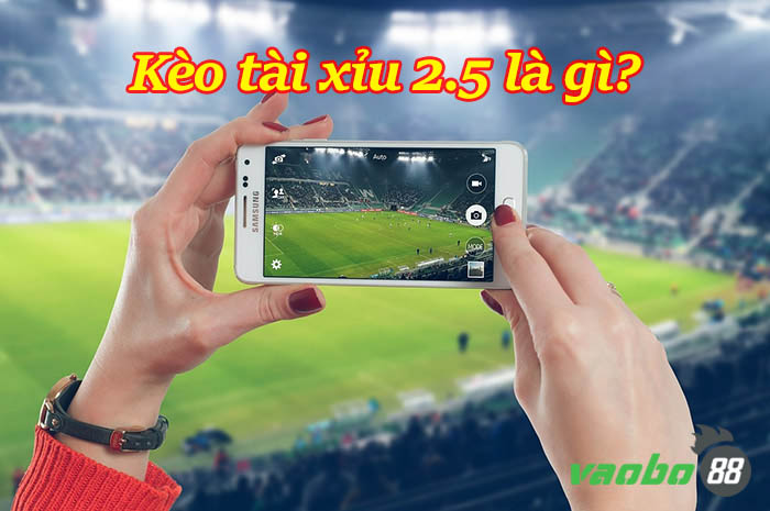 Tài xỉu 2.5 là gì? Giải thích kèo O/U 2.5 và cách đánh hiệu quả