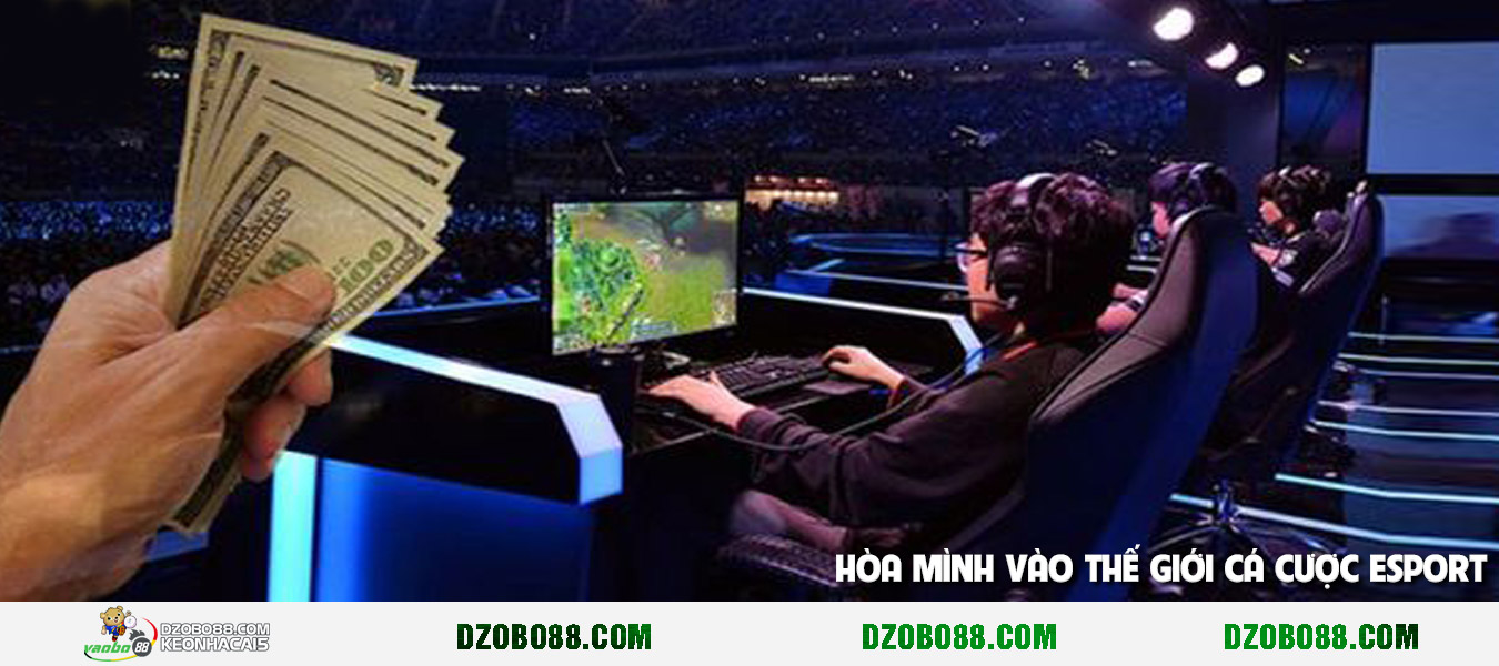 Hình ảnh Hòa mình vào cộng đồng cá cược esport