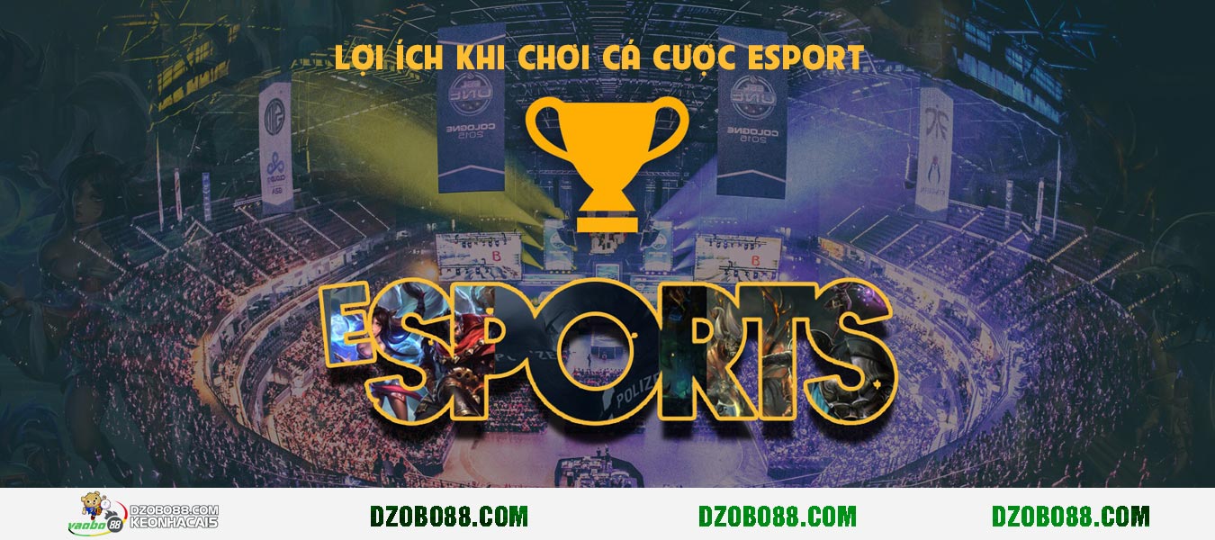 Hình ảnh Lợi ích của người chơi khi tham gia cá cược esport